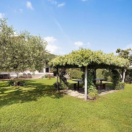 Mansarda Albero Verde Con Piscina Casanova Lerrone Exterior foto